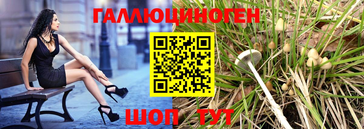 Псилоцибиновые грибы Psilocybe  Вход с VPN  Уссурийск  Псилоцибиновые грибы мухоморы 